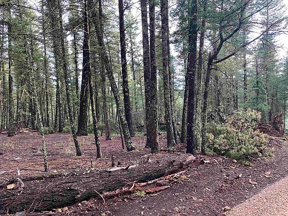 4th image of LOT 3 Pinos Verdes