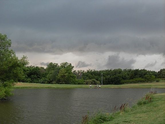 Another View of Pond