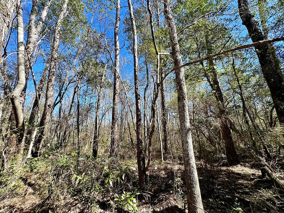 0 Hawthorn Rd, Wagarville, AL 36585 Zillow