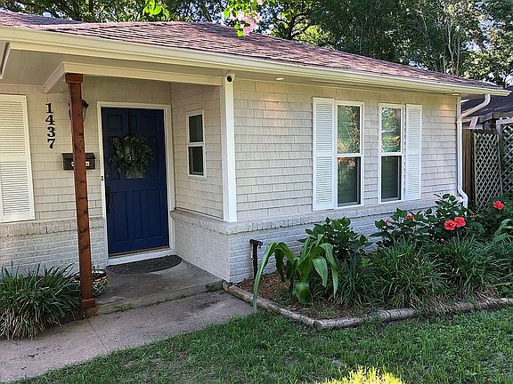 tropical hibicus hedge 