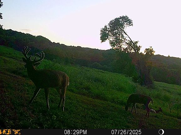 4th image of 1345 Jenkins Rd Tract 3