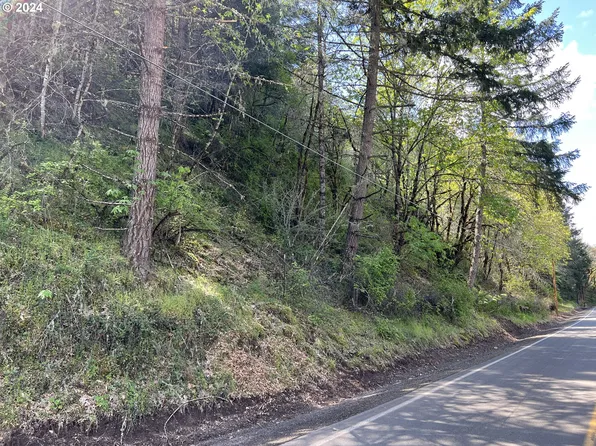 300 Clarks Branch Rd, Myrtle Creek, OR 97457