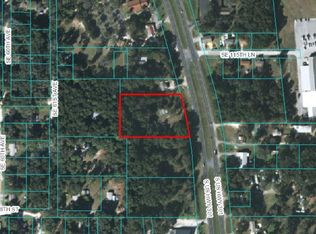 11638 S Us Highway 301, Belleview, FL 34420