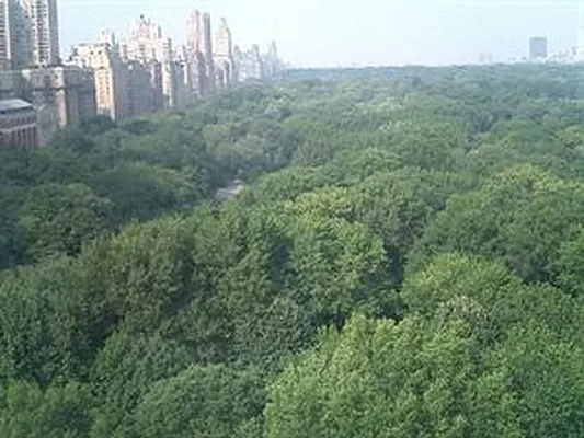 Rented by Douglas Elliman | media 16