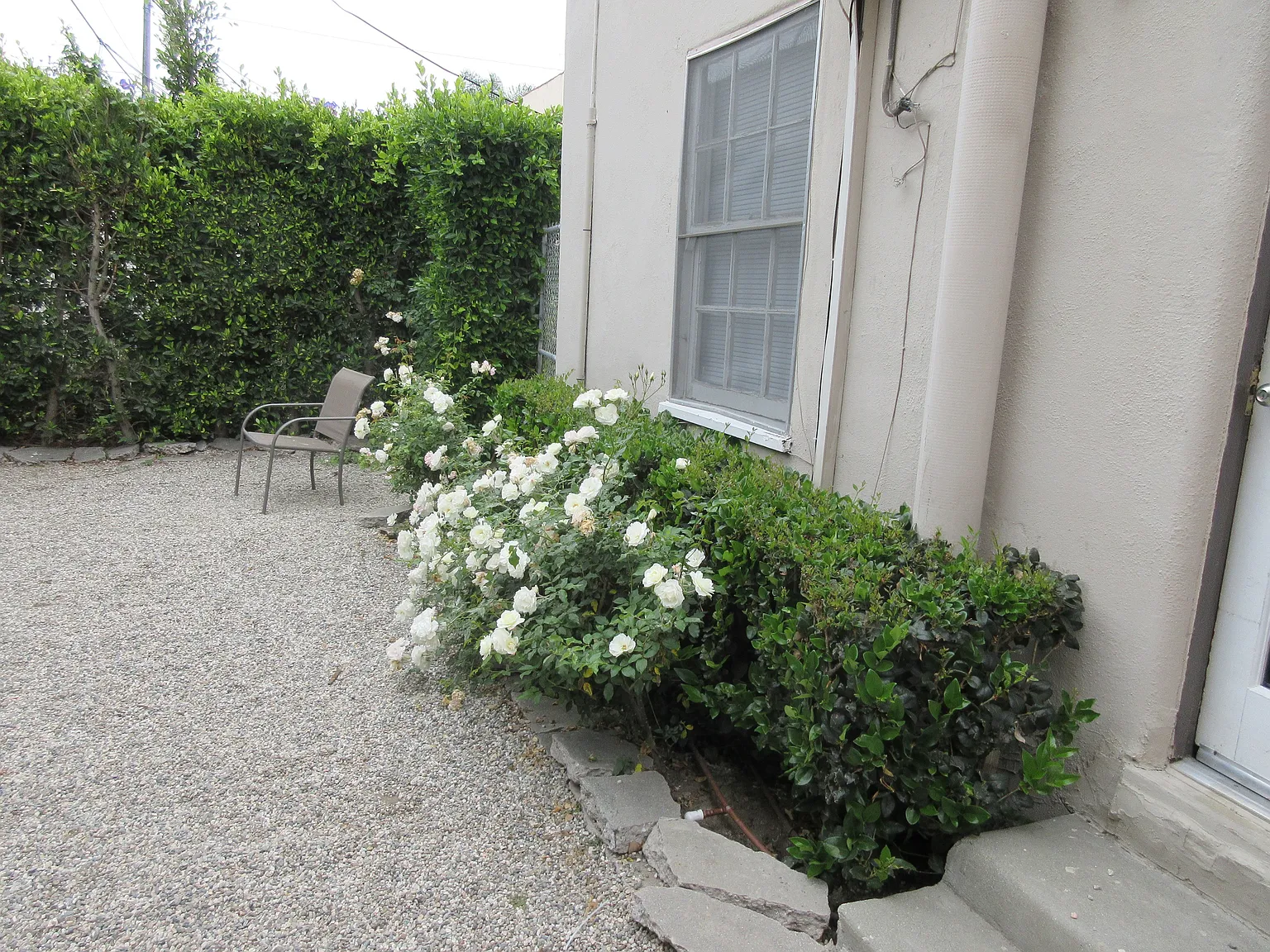 Studio, 400 sqft, $1,495 — Photo 2