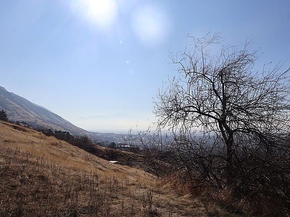 3rd image of 1495 N Oak Ridge Cir