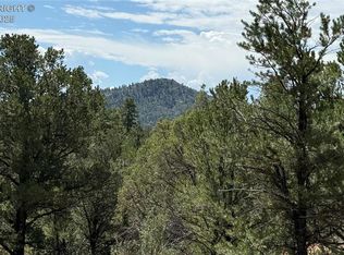 876 Q Path, Cotopaxi, CO 81223