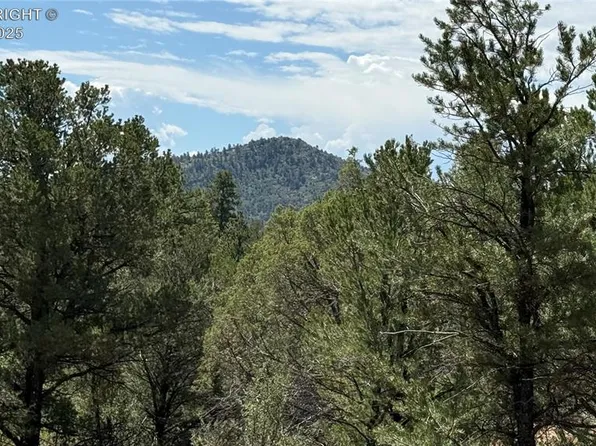 876 Q Path, Cotopaxi, CO 81223