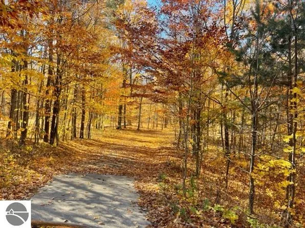 2 Stover Pond Rd, Bellaire, MI 49615