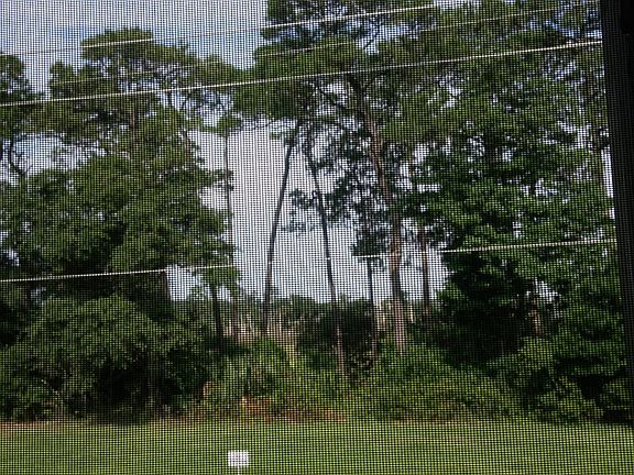 View toward intracoastal through screened balcony