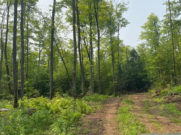 Off Hwy #2, Wakefield, MI 49968