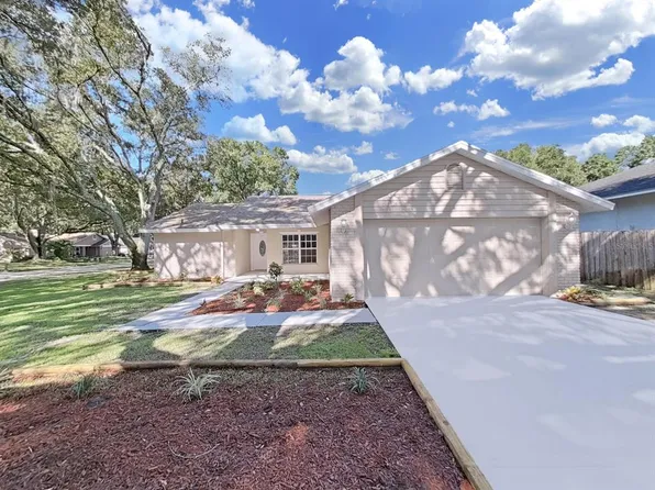 18228 Dollybrook Ln, Lutz, FL 33549