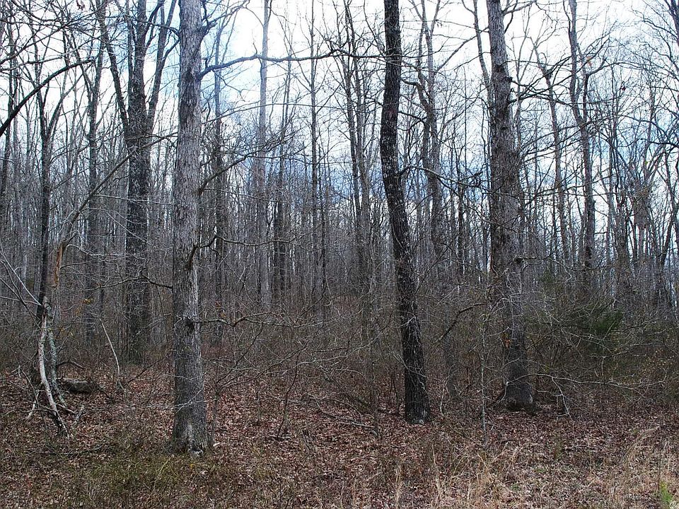 2nd image of 0 Brown Camp Rd