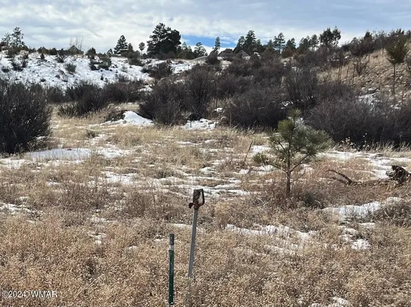 2952 Buckskin Canyon Rd, Heber, AZ 85928