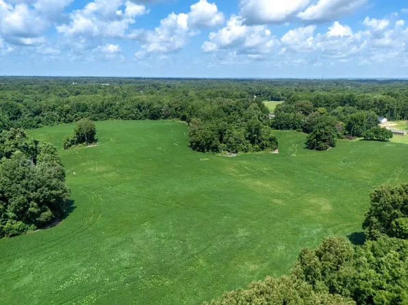 4 Dolan Rd, Drummonds, TN 38023