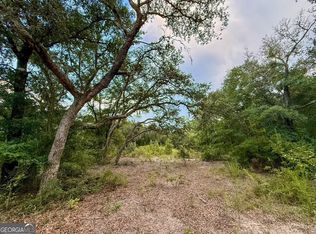 6005 & 6007 Tree Top Ln, Blackshear, GA 31516