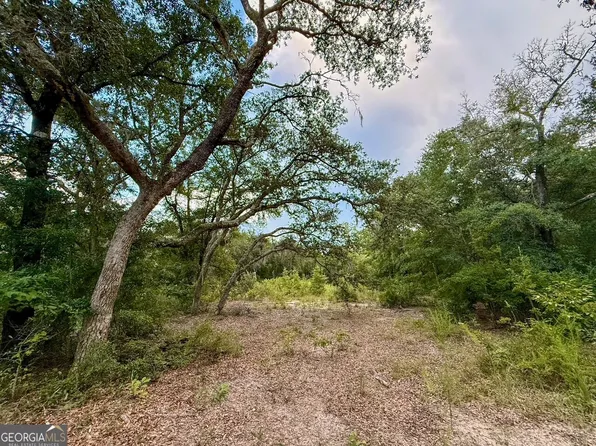 6005 & 6007 Tree Top Ln, Blackshear, GA 31516