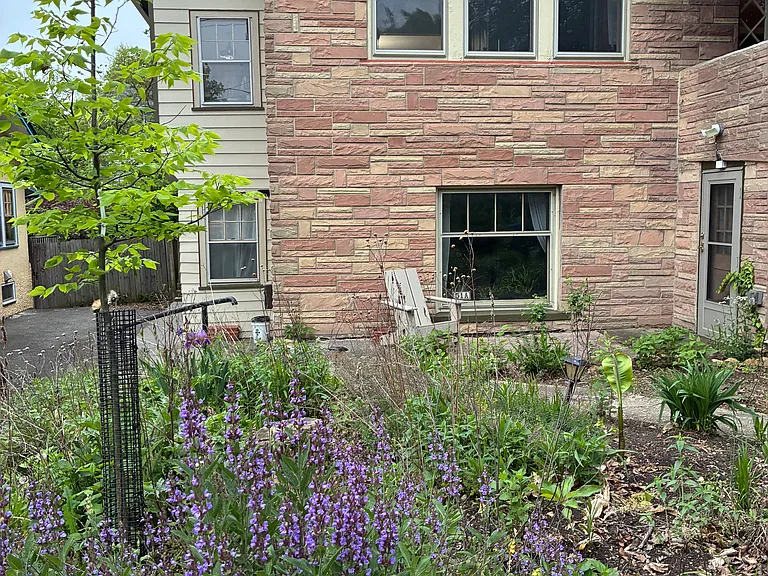 Your patio and shared garden