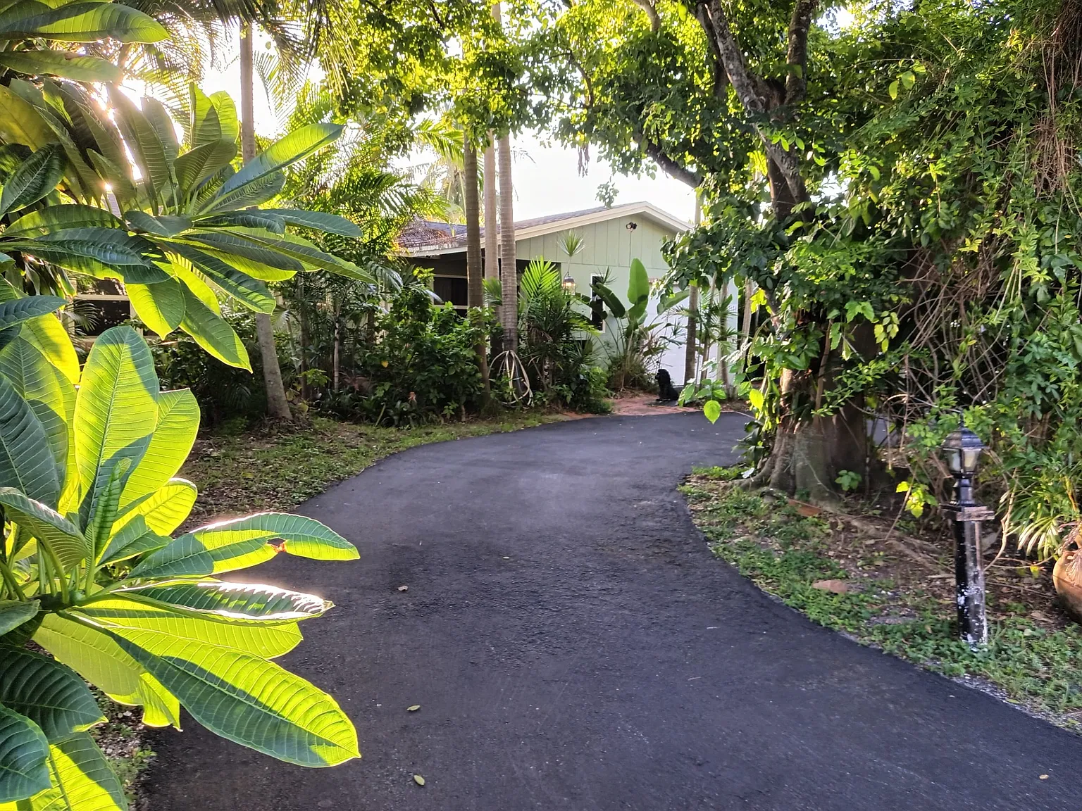 1 bed, 1500 sqft, $1,100 — Photo 3