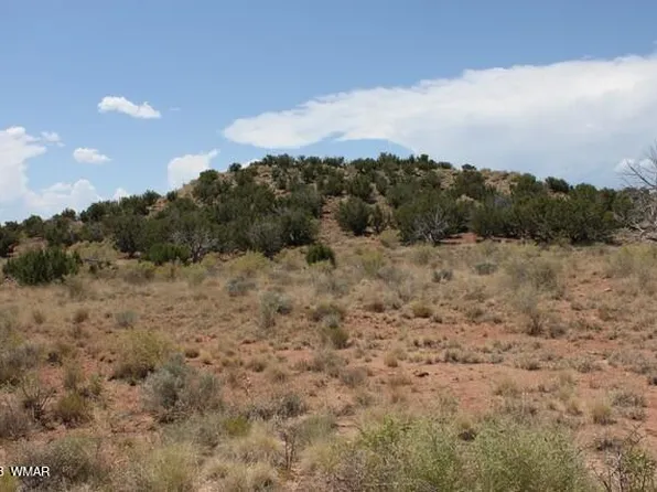 County Road 6040, Saint Johns, AZ 85936
