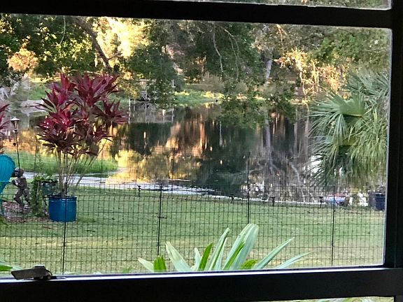 View out kitchen and back room windows