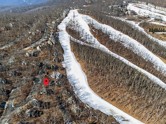 5th image of 96 Squirrel Tree Ln