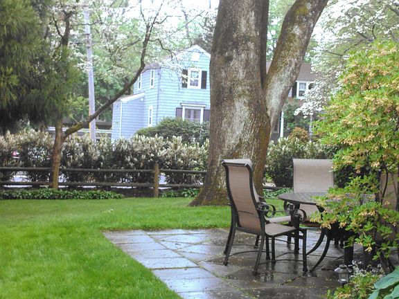 back patio with laurels