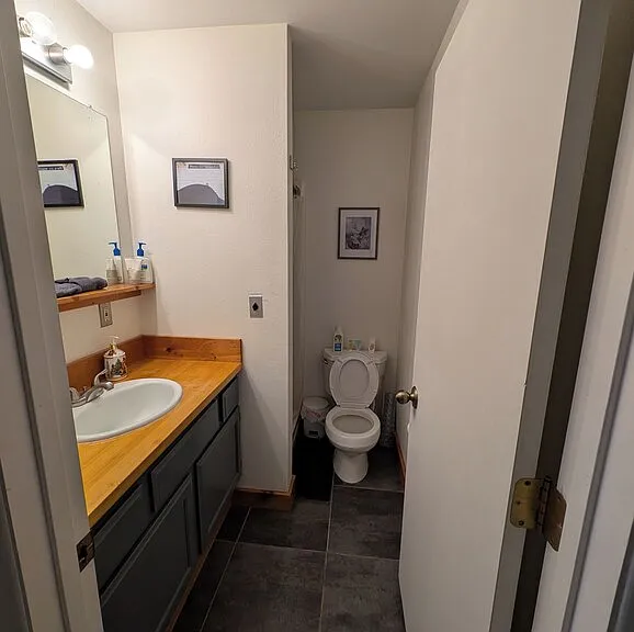 Down Stairs Bathroom