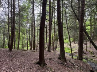 Tinkertown Rd LOT WP001, Addison, NY 14801