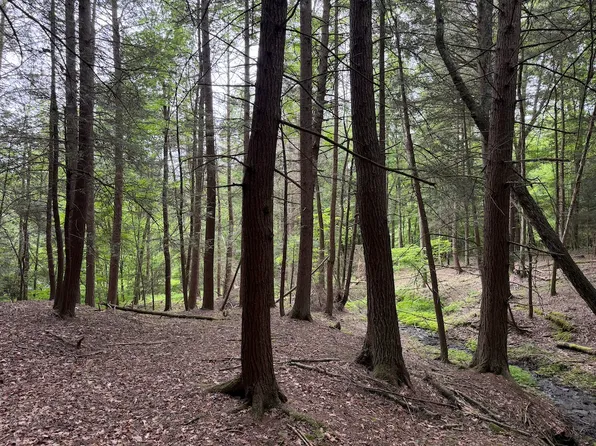Tinkertown Rd Lot Wp001, Addison, NY 14801