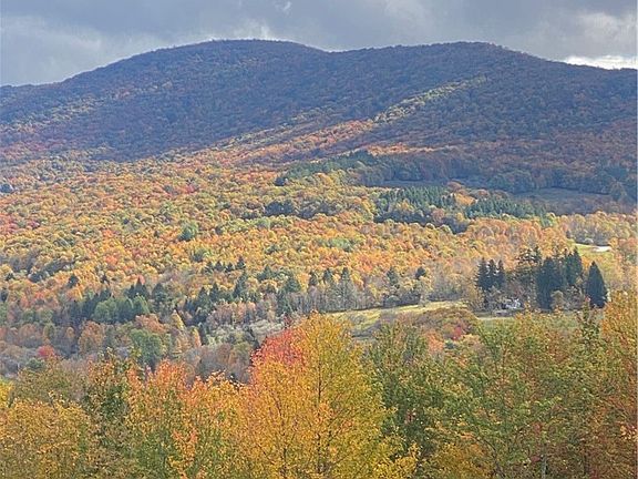 5th image of 535 Babbling Brook Rd