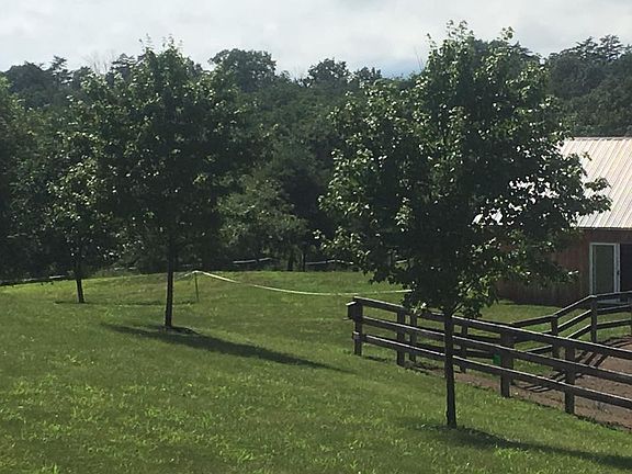horse pasture