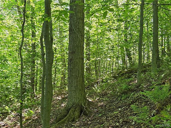 4th image of Nys Rte #446