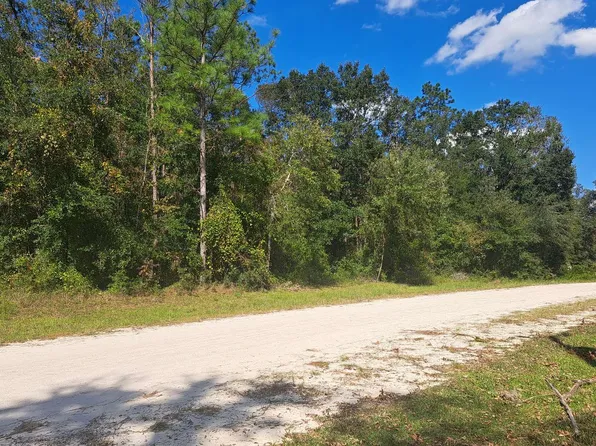 SW Homestead Cir, Fort White, FL 32038