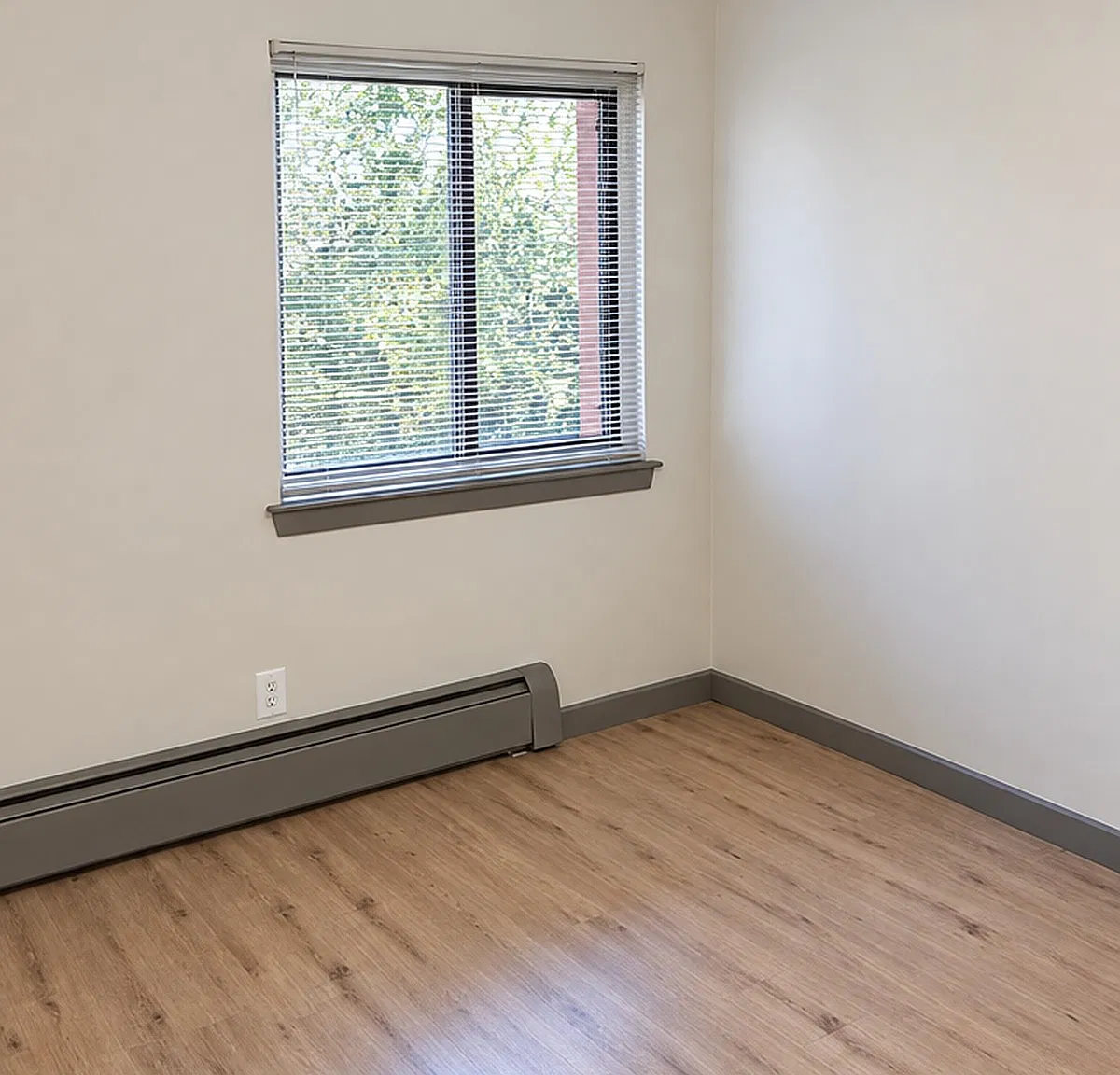 1 bed, 650 sqft, $1,400 — Photo 3