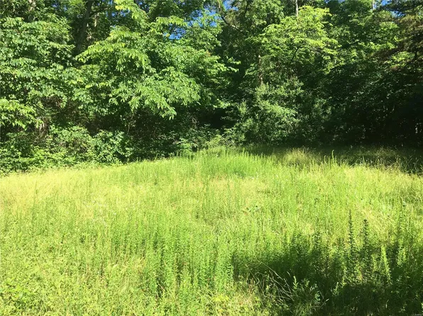 2 County Road 123, Annapolis, MO 63620