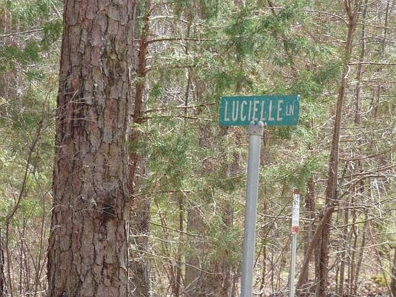 2nd image of 9336 Lucielle Ln