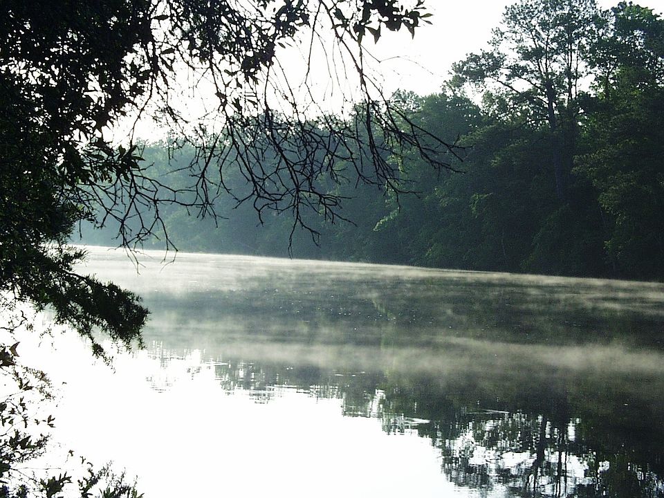 View of Beautiful Black Creek