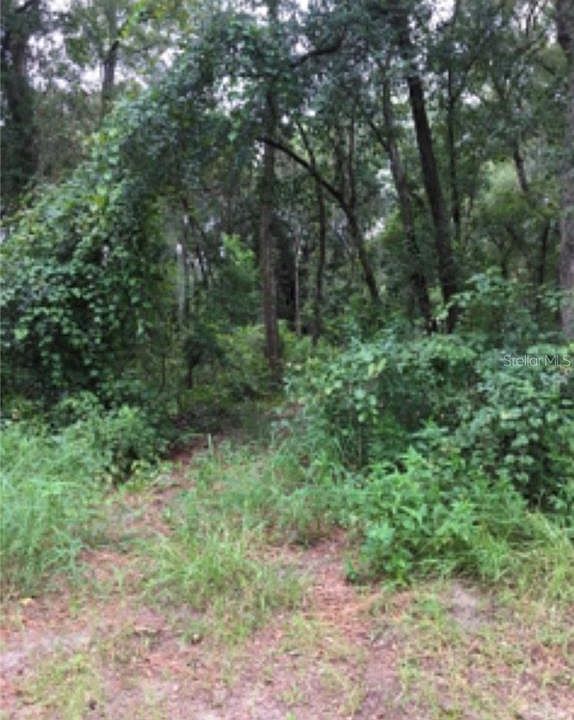2nd image of Romar Ln