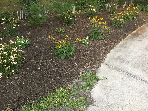 4th image of 158 NW 7th St
