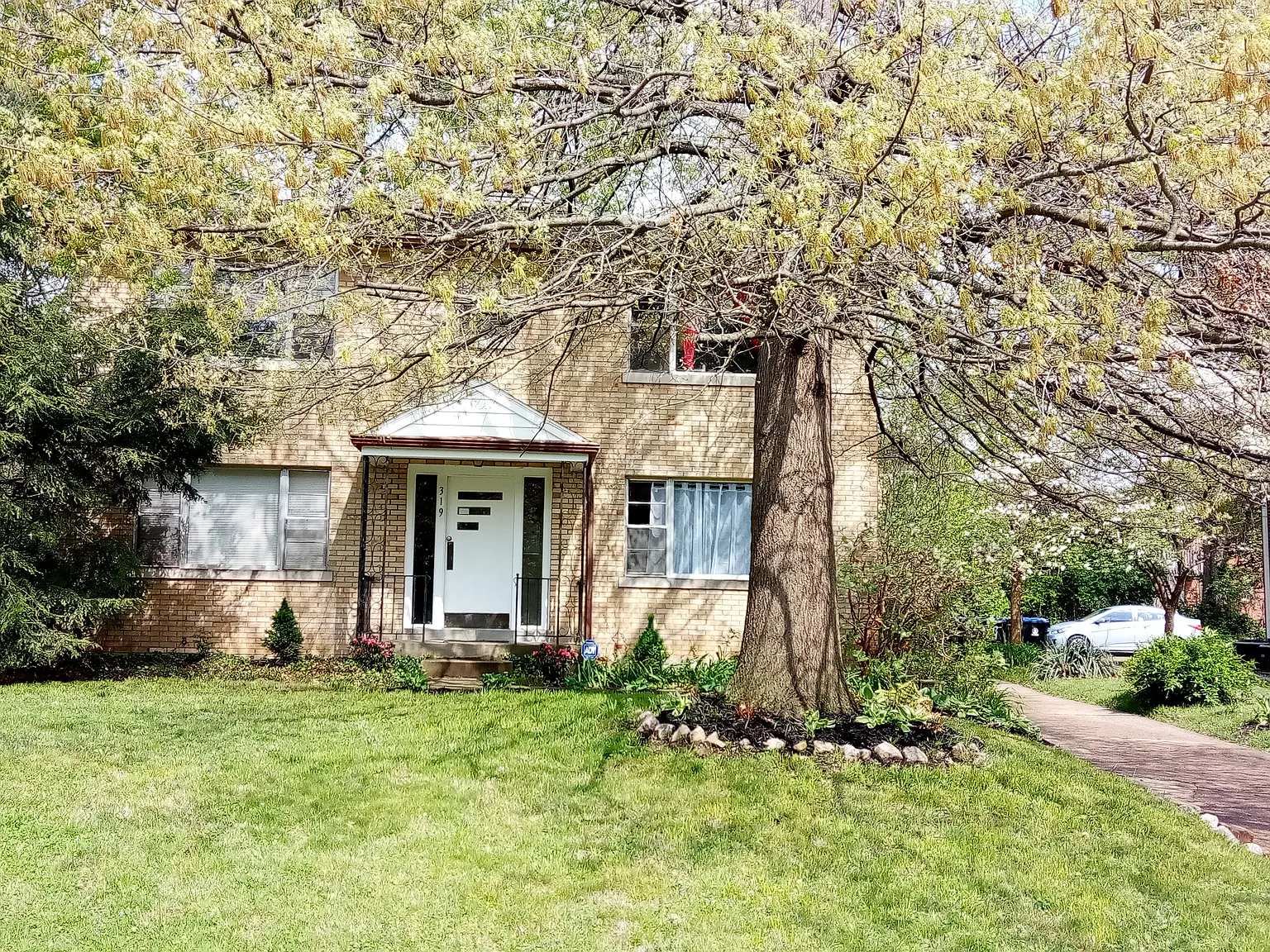 1 bed, 800 sqft, $995 — Photo 1