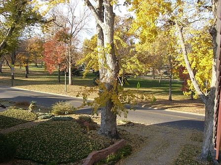 fall