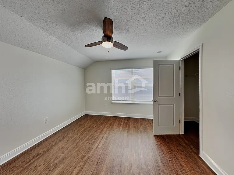 1367 Celery Palm Cv — Photo 30