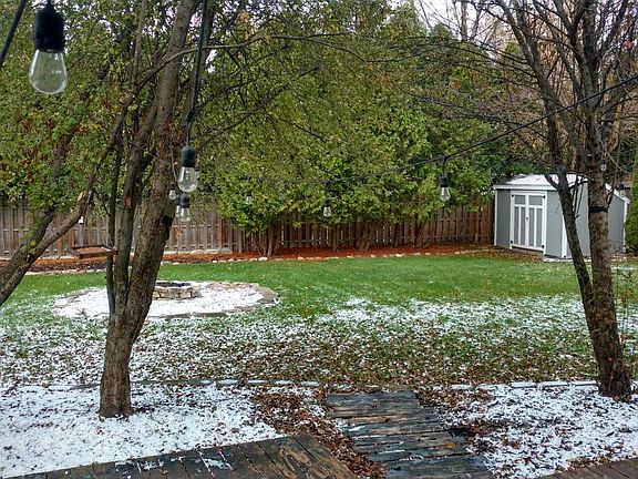 View of the fenced in backyard