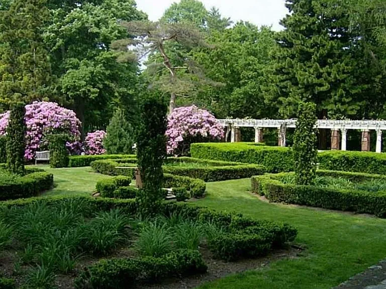 The community gardens which include shaded paths for walking