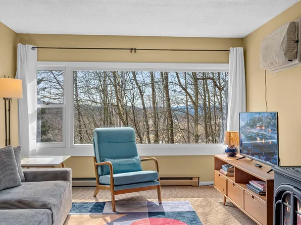 220 Mountainside Drive #E301, Stowe, VT 05672
