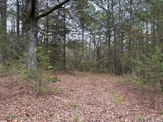 2nd image of Fs Rd #1436