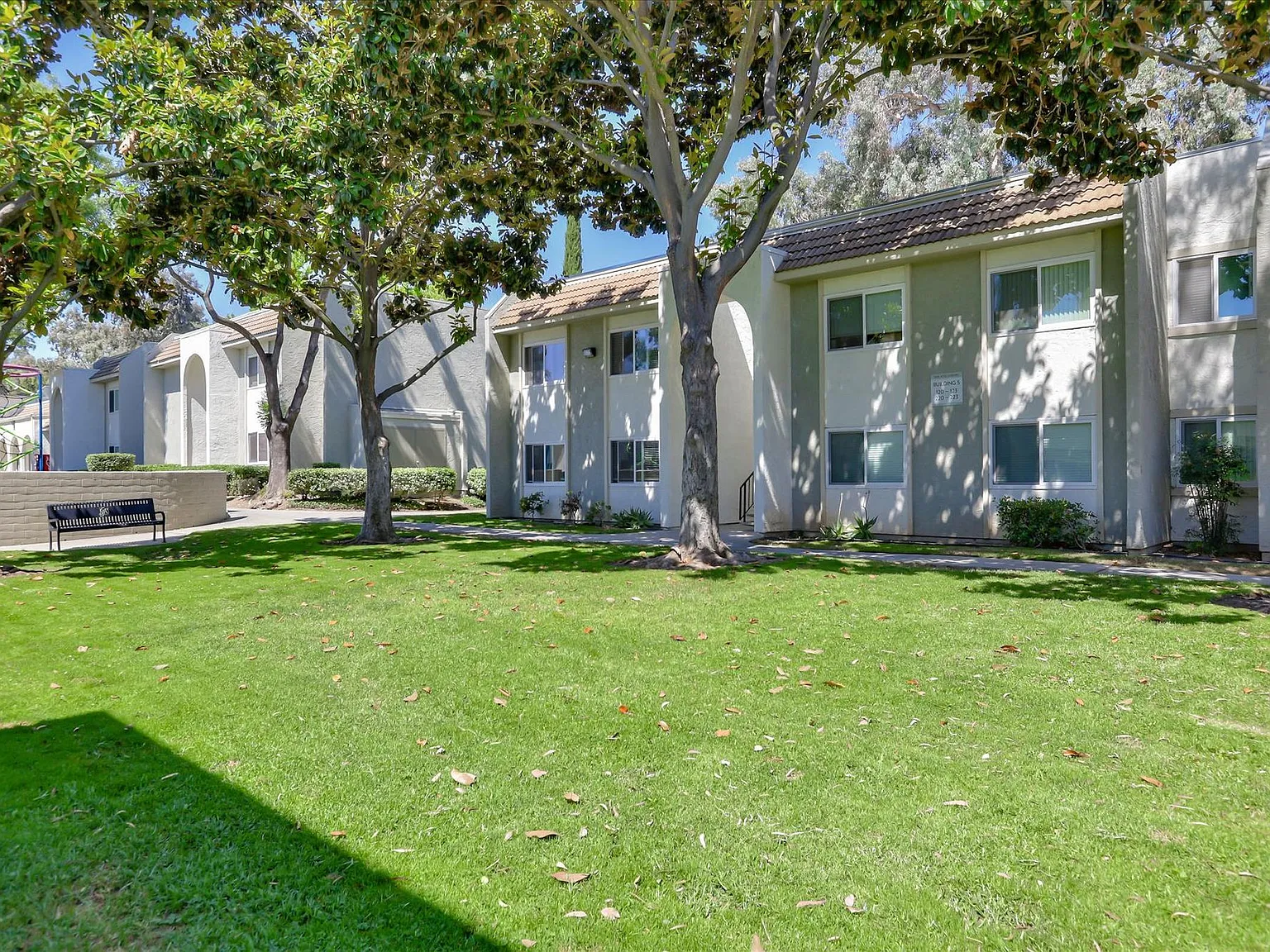 San Jose Greens — Photo 2