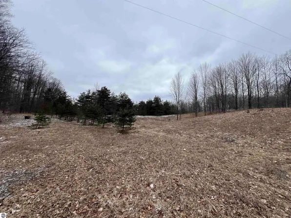 21 Mile Rd, Tustin, MI 49688