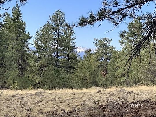 1st image of 2796 Black Fawn Ln